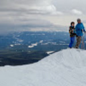 Meet your Posher, Sidney